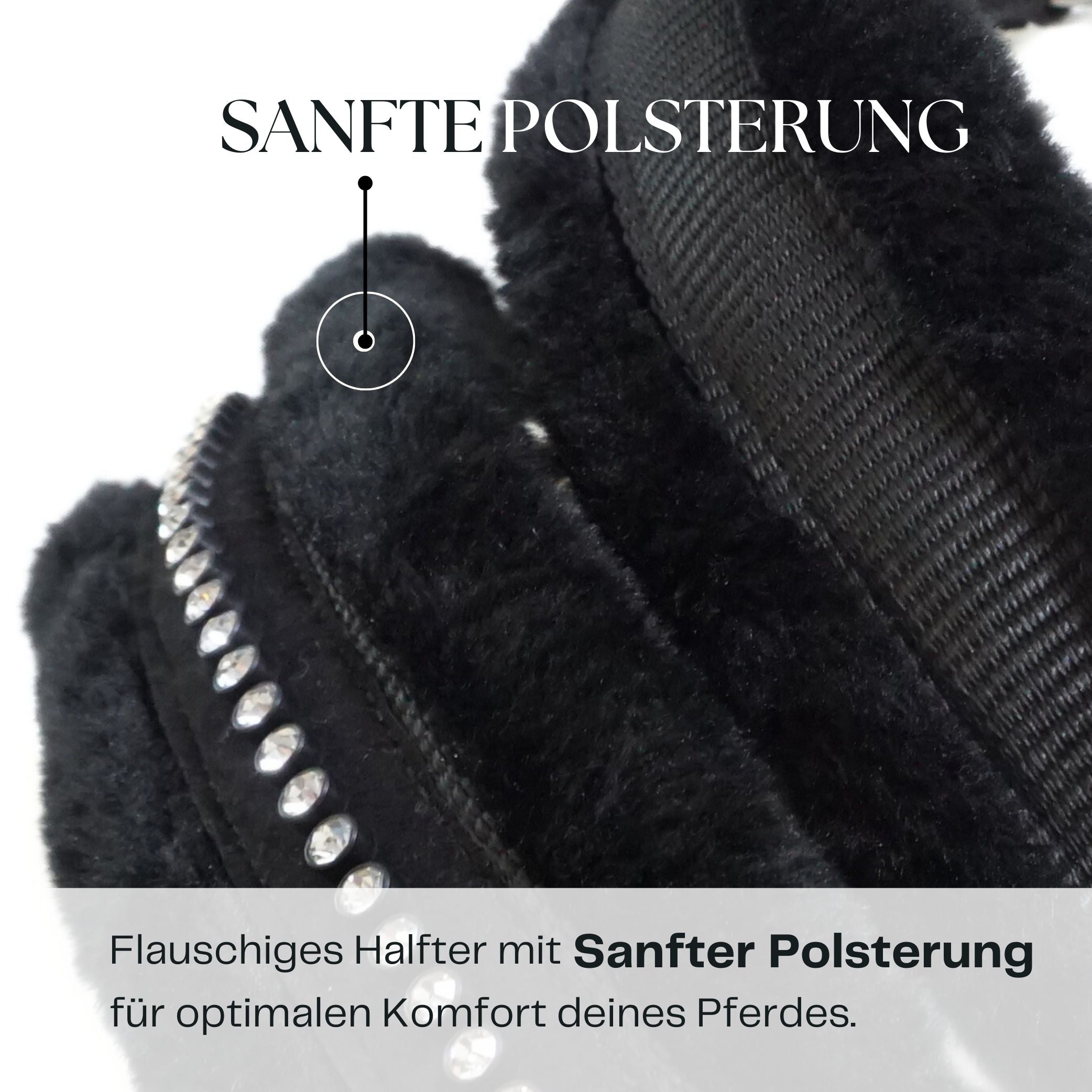 Halfter für Pferde in schwarz mit Strass